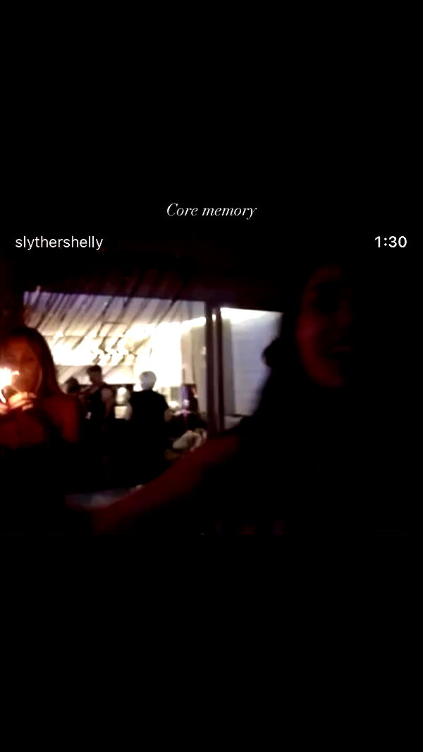 slythershelly archive video preview