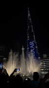 diana_tal_ Altpins Profile Picture
