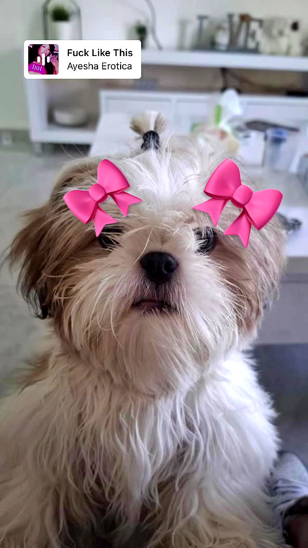 hellokittyangel666 archive video preview