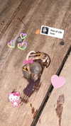 shvuty__ Altpins Profile Picture