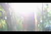 noa_mendel_ Altpins Profile Picture