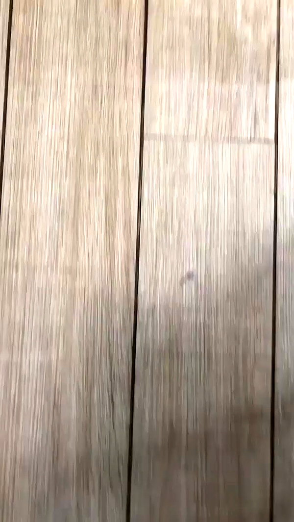 da.rk_.angel archive video preview