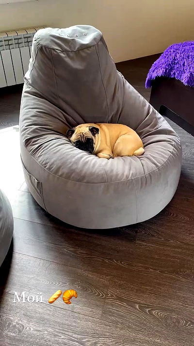 nyityam nyityam archive video