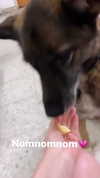 emily_new2 Altpins Profile Picture