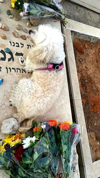 feelbetterinmysweater feelbetterinmysweater archive video