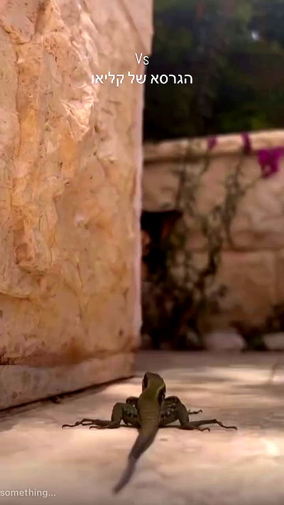 itsilanosh itsilanosh archive video