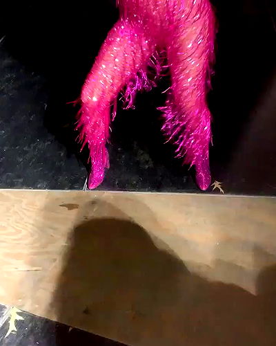 iamcardib iamcardib archive video