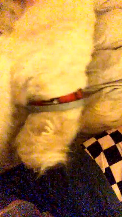 feelbetterinmysweater feelbetterinmysweater archive video