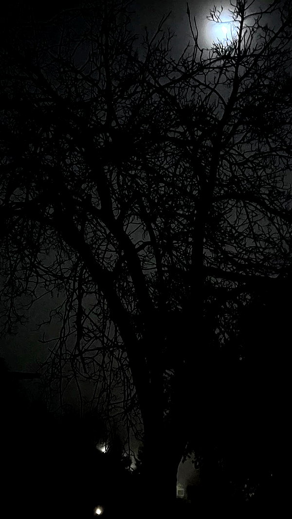 bloodyfukk archive video preview