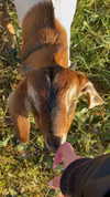 tooonytoony Altpins Profile Picture