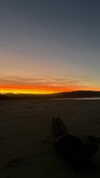 _kayleewray_ Altpins Profile Picture
