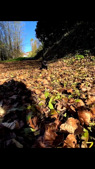 aekamee aekamee archive video