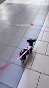 jenny.kaly Altpins Profile Picture