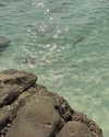 veronika_grish Altpins Profile Picture