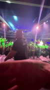 justfranzi.x Altpins Profile Picture