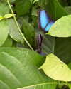 tamar_nk Altpins Profile Picture