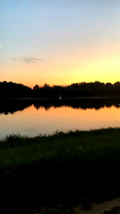 annfigma annfigma archive video