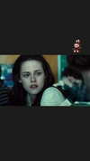 alma.almog Altpins Profile Picture
