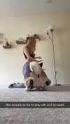 kayleedolisi Altpins Profile Picture