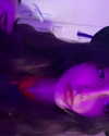 user364002 Altpins Profile Picture