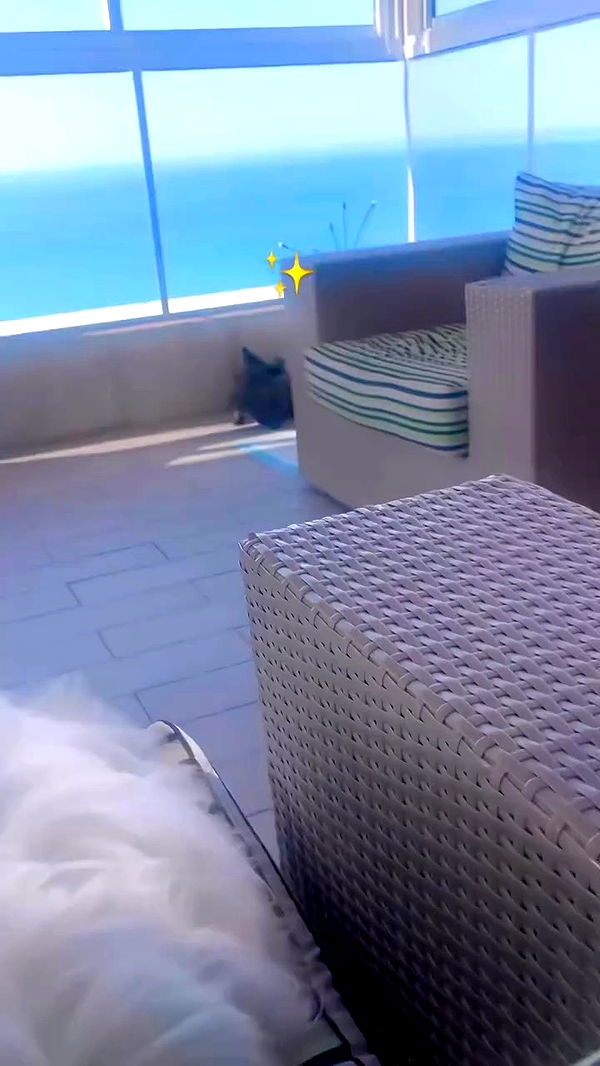 romy_ayalla_lavi archive video preview