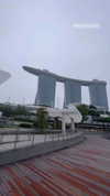 shelly_roberin Altpins Profile Picture