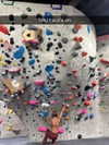 cclaire.bbear1 Altpins Profile Picture