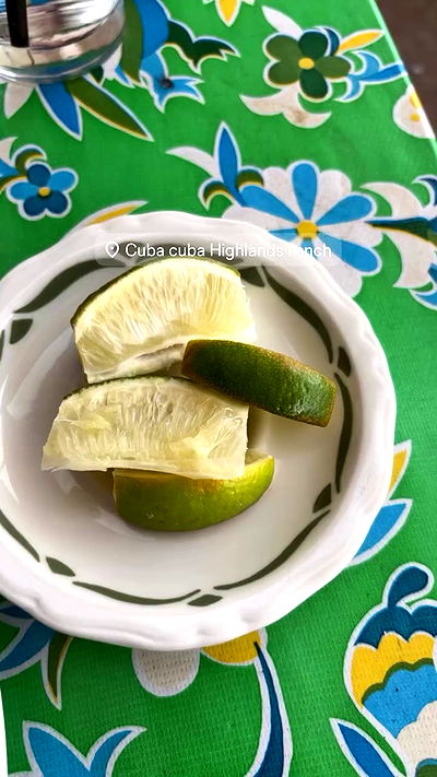 thelizzyporter thelizzyporter archive video