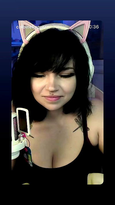 chibinekopurr chibinekopurr archive video