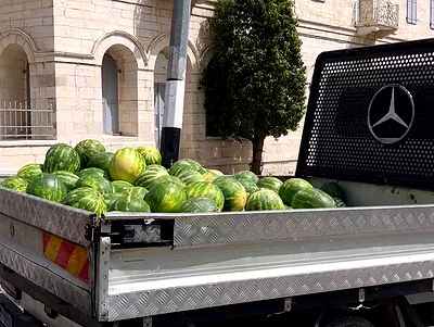 _femalien _femalien archive video