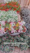 sonya_fisher_ Altpins Profile Picture