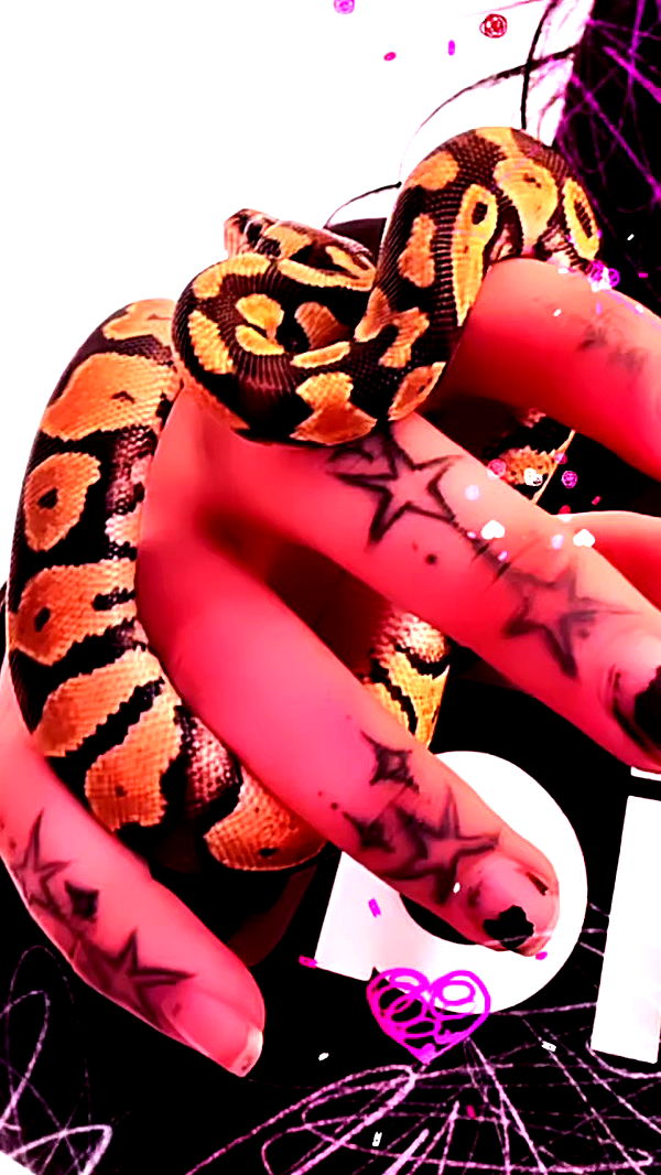 xzot1_met4xx archive video preview