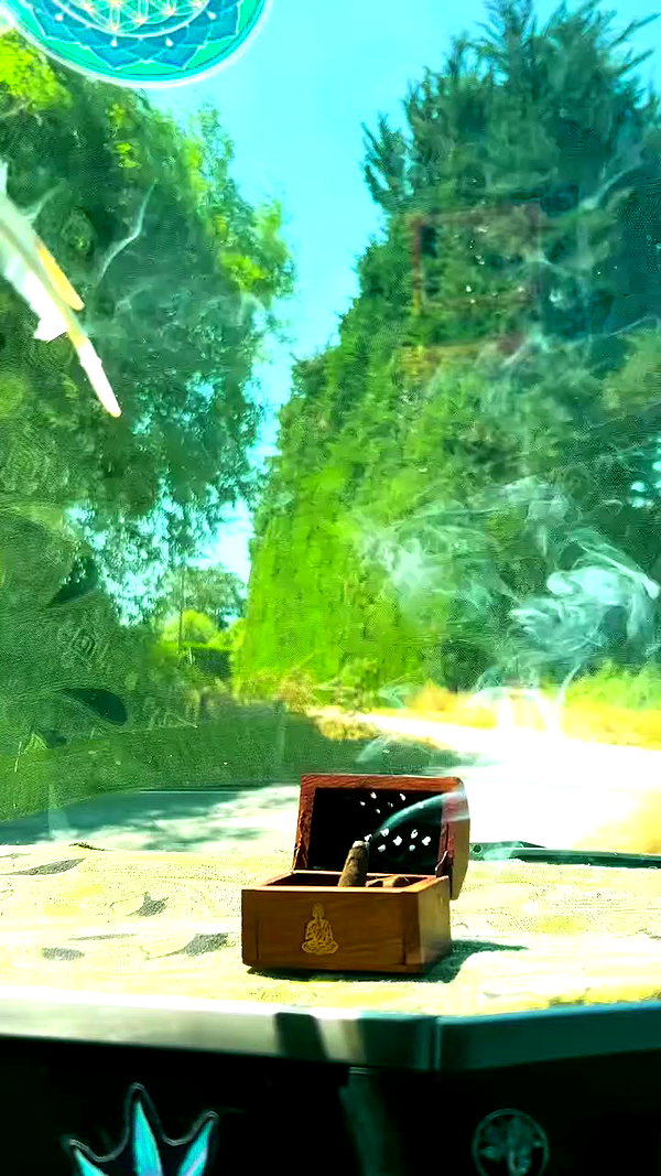 aleiisha.piixiie archive video preview