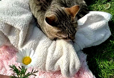 shunli__mei shunli__mei archive video