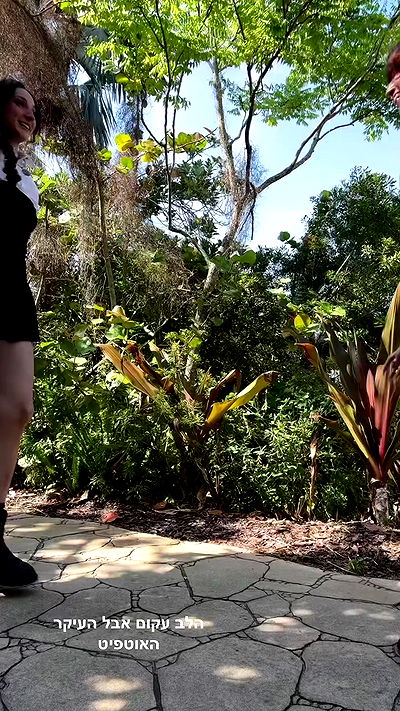 biton__adi biton__adi archive video