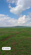 natishemesh1986 Altpins Profile Picture