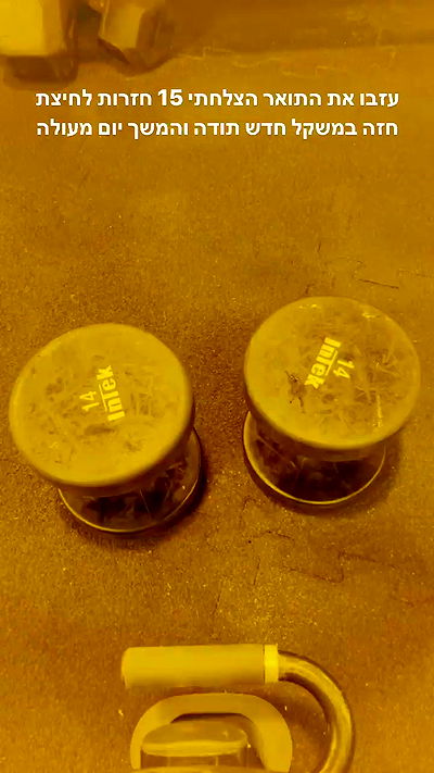 kesemgreenyer kesemgreenyer archive video