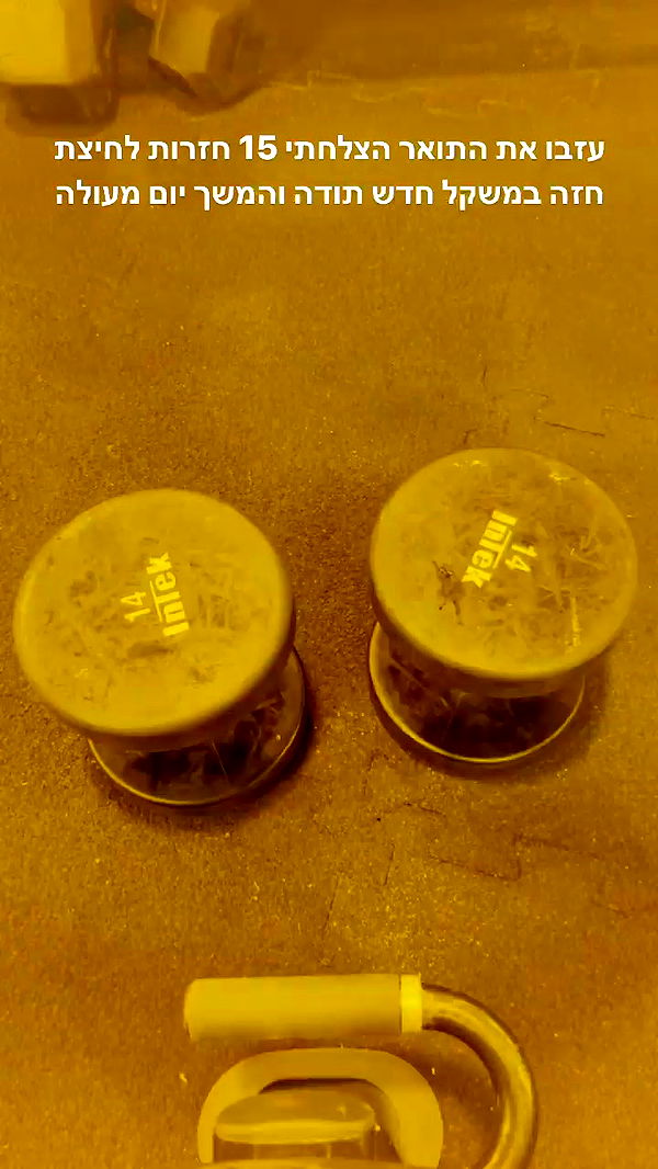 kesemgreenyer archive video preview