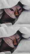 la.vica_ Altpins Profile Picture