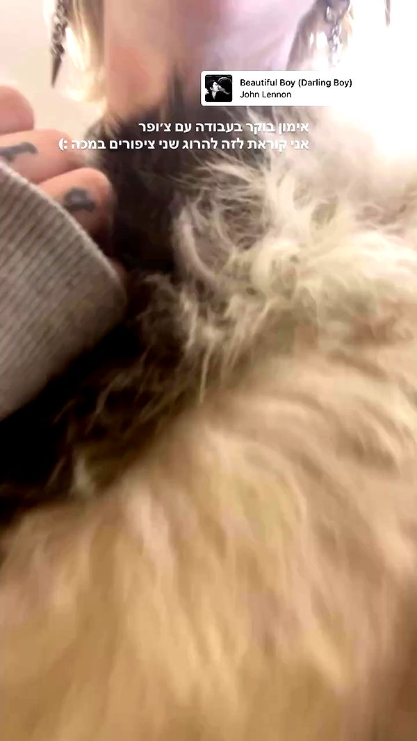 shanikaneko archive video preview