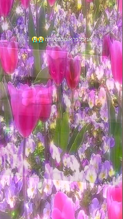 shayli_or shayli_or archive video