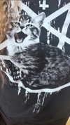 hellowkitty4ever Altpins Profile Picture
