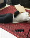 daniella_koosit Altpins Profile Picture