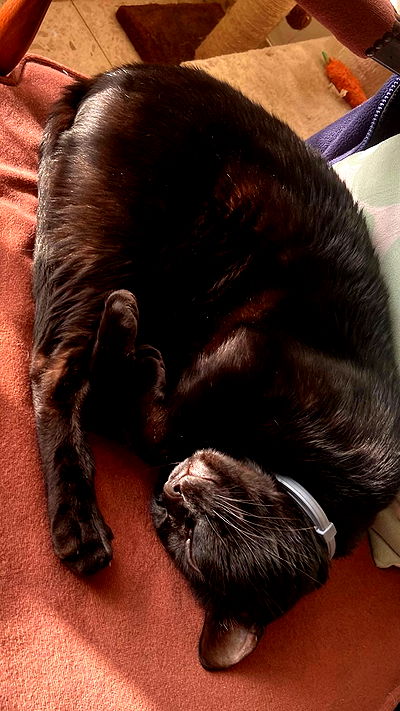 feelbetterinmysweater feelbetterinmysweater archive video