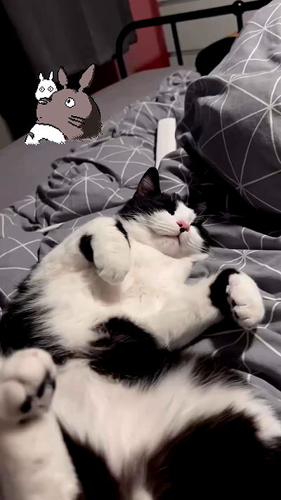 milkgore milkgore archive video