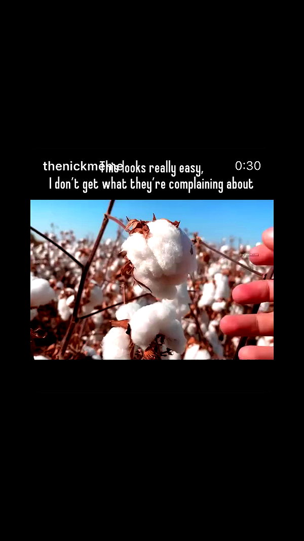 thenickmeme archive video preview