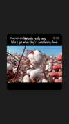 thenickmeme Altpins Profile Picture