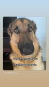 emily_new2 Altpins Profile Picture