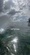 lior_lotati Altpins Profile Picture