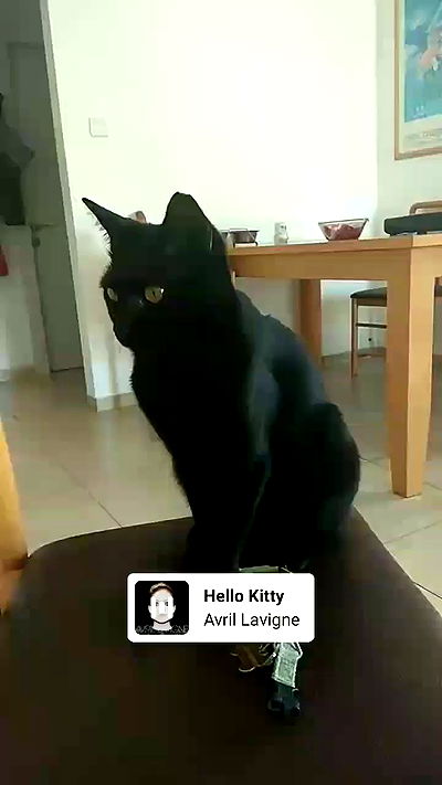 shayli_or shayli_or archive video